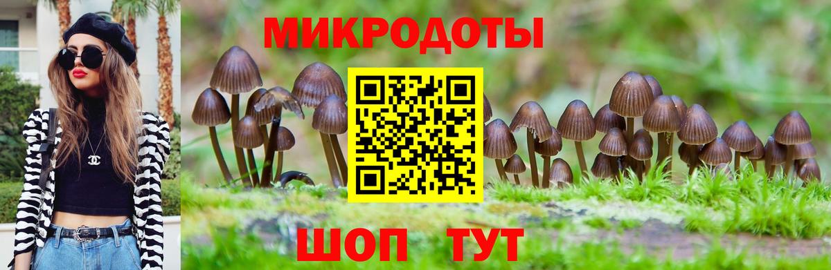 Галлюциногенные грибы прущие грибы  Вход с VPN  Новошахтинск 